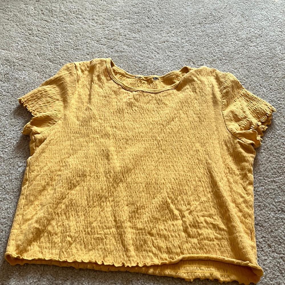 american eagle crop top